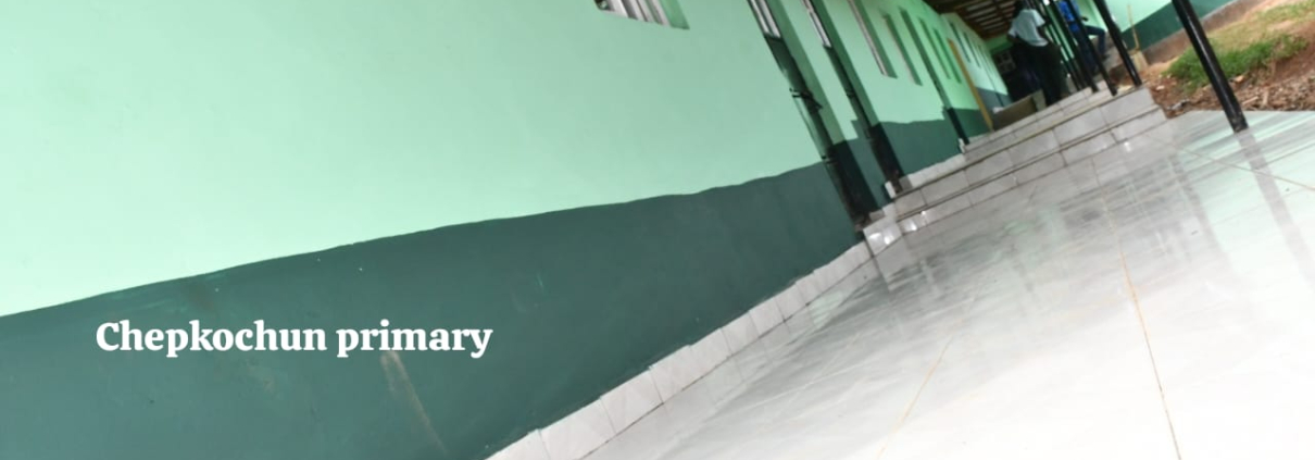 Chepkochun Primary School
